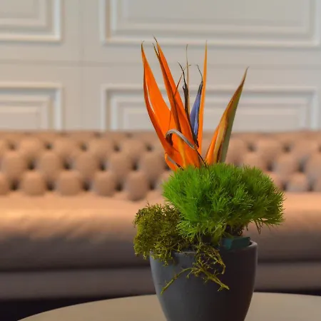 Ξενοδοχείο Vizualiza By Hmg